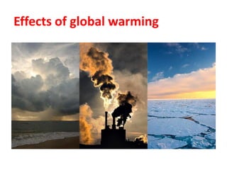 Effects of global warming
 