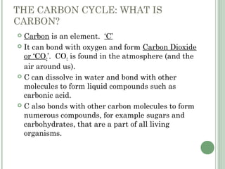 THE CARBON CYCLE: WHAT IS
CARBON?
 Carbon is an element. ‘C’
 It can bond with oxygen and form Carbon Dioxide
or ‘CO2’. CO2 is found in the atmosphere (and the
air around us).
 C can dissolve in water and bond with other
molecules to form liquid compounds such as
carbonic acid.
 C also bonds with other carbon molecules to form
numerous compounds, for example sugars and
carbohydrates, that are a part of all living
organisms.
 