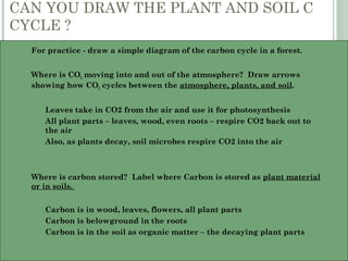 CAN YOU DRAW THE PLANT AND SOIL C
CYCLE ?
 For practice - draw a simple diagram of the carbon cycle in a forest.
 Where is CO2 moving into and out of the atmosphere? Draw arrows
showing how CO2 cycles between the atmosphere, plants, and soil.
 Leaves take in CO2 from the air and use it for photosynthesis
 All plant parts – leaves, wood, even roots – respire CO2 back out to
the air
 Also, as plants decay, soil microbes respire CO2 into the air
 Where is carbon stored? Label where Carbon is stored as plant material
or in soils.
 Carbon is in wood, leaves, flowers, all plant parts
 Carbon is belowground in the roots
 Carbon is in the soil as organic matter – the decaying plant parts
 