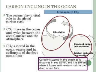CARBON CYCLING IN THE OCEAN
 The oceans play a vital
role in the global
carbon cycle
 CO2 mixes in the ocean
and cycles between the
ocean surface and the
atmosphere
 CO2 is stored in the
ocean waters and in
sediments of the deep
ocean floor
Carbon is stored in the ocean as it
dissolves in sea water, and it is stored
when it forms sedimentary rock in the
deep ocean floor
CO2 mixing
Dissolved carbon
in ocean water
Calcium carbonate
in ocean floor
 
