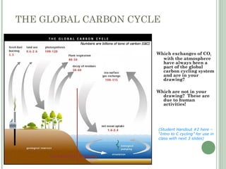 THE GLOBAL CARBON CYCLE
Which exchanges of CO2
with the atmosphere
have always been a
part of the global
carbon cycling system
and are in your
drawing?
Which are not in your
drawing? These are
due to human
activities!
Terrestrial Oceans
(Student Handout #2 here –
“Intro to C cycling” for use in
class with next 3 slides)
 