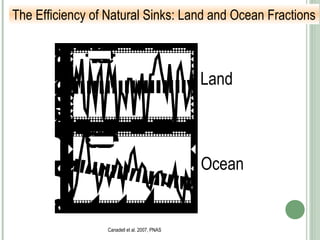 The Efficiency of Natural Sinks: Land and Ocean Fractions
Land
Ocean
Canadell et al. 2007, PNAS
 