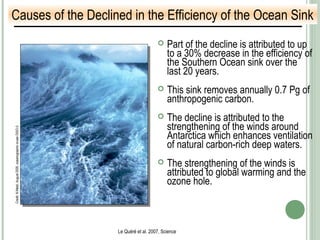  Part of the decline is attributed to up
to a 30% decrease in the efficiency of
the Southern Ocean sink over the
last 20 years.
 This sink removes annually 0.7 Pg of
anthropogenic carbon.
 The decline is attributed to the
strengthening of the winds around
Antarctica which enhances ventilation
of natural carbon-rich deep waters.
 The strengthening of the winds is
attributed to global warming and the
ozone hole.
Causes of the Declined in the Efficiency of the Ocean Sink
Le Quéré et al. 2007, Science
Credit:N.Metzl,August2000,oceanographiccruiseOISO-5
 