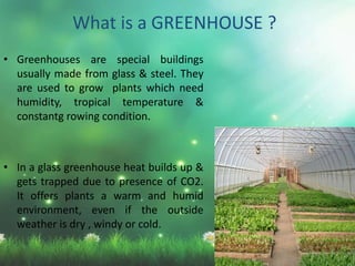 What is a GREENHOUSE ?
• Greenhouses are special buildings
usually made from glass & steel. They
are used to grow plants which need
humidity, tropical temperature &
constantg rowing condition.
• In a glass greenhouse heat builds up &
gets trapped due to presence of CO2.
It offers plants a warm and humid
environment, even if the outside
weather is dry , windy or cold.
 
