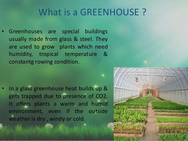 Green House Effect On Buildings Green House Effect On Buildings