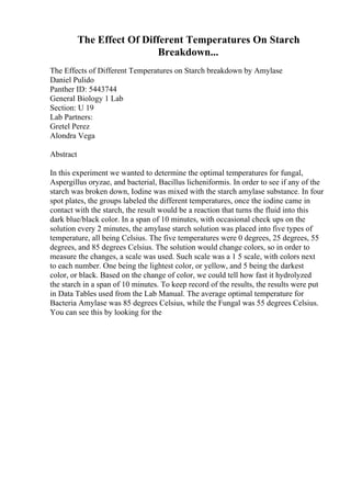 The Effect Of Different Temperatures On Starch
Breakdown...
The Effects of Different Temperatures on Starch breakdown by Amylase
Daniel Pulido
Panther ID: 5443744
General Biology 1 Lab
Section: U 19
Lab Partners:
Gretel Perez
Alondra Vega
Abstract
In this experiment we wanted to determine the optimal temperatures for fungal,
Aspergillus oryzae, and bacterial, Bacillus licheniformis. In order to see if any of the
starch was broken down, Iodine was mixed with the starch amylase substance. In four
spot plates, the groups labeled the different temperatures, once the iodine came in
contact with the starch, the result would be a reaction that turns the fluid into this
dark blue/black color. In a span of 10 minutes, with occasional check ups on the
solution every 2 minutes, the amylase starch solution was placed into five types of
temperature, all being Celsius. The five temperatures were 0 degrees, 25 degrees, 55
degrees, and 85 degrees Celsius. The solution would change colors, so in order to
measure the changes, a scale was used. Such scale was a 1 5 scale, with colors next
to each number. One being the lightest color, or yellow, and 5 being the darkest
color, or black. Based on the change of color, we could tell how fast it hydrolyzed
the starch in a span of 10 minutes. To keep record of the results, the results were put
in Data Tables used from the Lab Manual. The average optimal temperature for
Bacteria Amylase was 85 degrees Celsius, while the Fungal was 55 degrees Celsius.
You can see this by looking for the
 