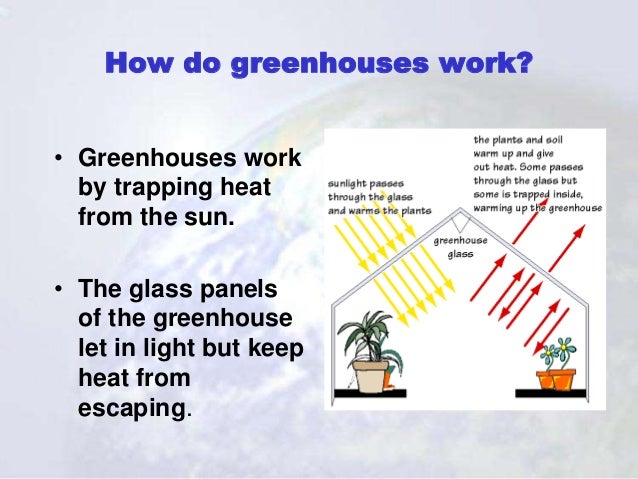 Greenhouse Effect Global Warming Ppt