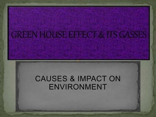 CAUSES & IMPACT ON 
ENVIRONMENT 
 