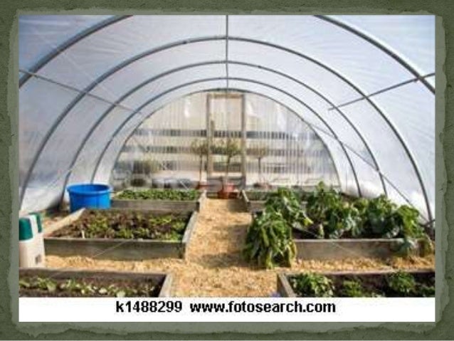 green house effect and causes in Greenhouse gases trap heat and make the planet warmer human activities are responsible for almost all of the increase in greenhouse gases. green house effect and causes in Greenhouse gases trap heat and make the planet warmer human activities are responsible for almost all of the increase in greenhouse gases.