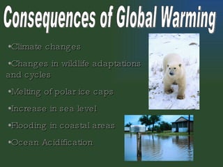 Consequences of Global Warming Climate changes Changes in wildlife adaptations and cycles Melting of polar ice caps Increase in sea level Flooding in coastal areas Ocean Acidification 
