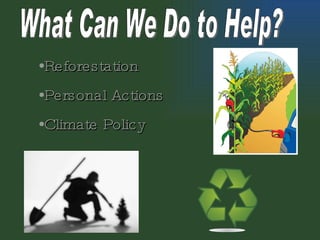 What Can We Do to Help? Reforestation Personal Actions Climate Policy 