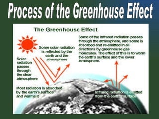 Process of the Greenhouse Effect 