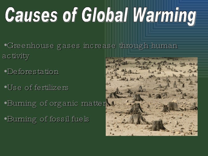 essay on global warming and its effects