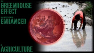 Greenhouse Effect -Stand-up version