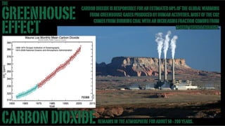 Greenhouse Effect -Stand-up version