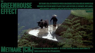 Greenhouse Effect -Stand-up version