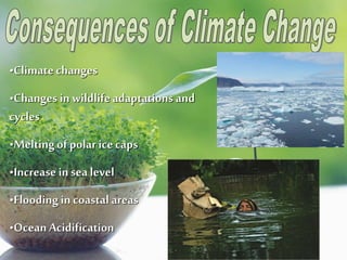 •Climatechanges
•Changes in wildlifeadaptations and
cycles
•Meltingof polar icecaps
•Increase insea level
•Flooding in coastal areas
•Ocean Acidification
 