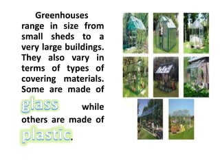 Greenhouses
range in size from
small sheds to a
very large buildings.
They also vary in
terms of types of
covering materials.
Some are made of
while
others are made of
.
 