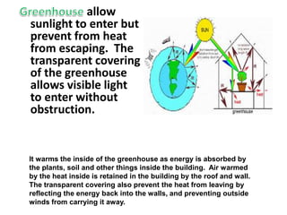allow
sunlight to enter but
prevent from heat
from escaping. The
transparent covering
of the greenhouse
allows visible light
to enter without
obstruction.
It warms the inside of the greenhouse as energy is absorbed by
the plants, soil and other things inside the building. Air warmed
by the heat inside is retained in the building by the roof and wall.
The transparent covering also prevent the heat from leaving by
reflecting the energy back into the walls, and preventing outside
winds from carrying it away.
 