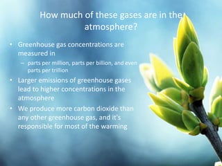 How much of these gases are in the
atmosphere?
• Greenhouse gas concentrations are
measured in
– parts per million, parts per billion, and even
parts per trillion
• Larger emissions of greenhouse gases
lead to higher concentrations in the
atmosphere
• We produce more carbon dioxide than
any other greenhouse gas, and it's
responsible for most of the warming
 
