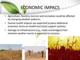ECONOMIC IMPACS
• Agriculture, forestry, tourism and recreation could be affected
by changing weather patterns.
• Human health impacts are expected to place additional
economic stress on health and social support systems.
• Damage to infrastructure (e.g., roads and bridges) from
extreme weather events is expected to increase.
 