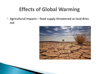  Agricultural impacts – food supply threatened as land dries
out