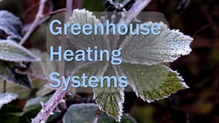 Greenhouse
Heating
Systems
 
