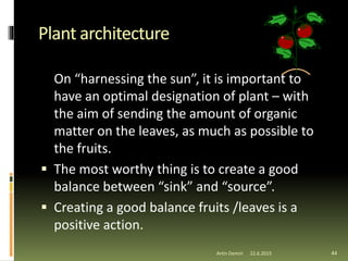 Plant architecture
On “harnessing the sun”, it is important to
have an optimal designation of plant – with
the aim of sending the amount of organic
matter on the leaves, as much as possible to
the fruits.
 The most worthy thing is to create a good
balance between “sink” and “source”.
 Creating a good balance fruits /leaves is a
positive action.
44Artin Demiri 22.6.2015
 