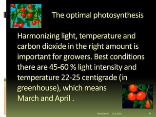 The optimal photosynthesis
Harmonizing light, temperature and
carbon dioxide in the right amount is
important for growers. Best conditions
there are 45-60 % light intensity and
temperature 22-25 centigrade (in
greenhouse), which means
March and April .
54Artin Demiri 22.6.2015
 