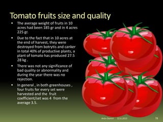 Tomato fruits size and quality
 The average weight of fruits in 10
acres had been 185 gr and in 4 acres
225 gr.
 Due to the fact that in 10 acres at
the end of harvest, they were
destroyed from botrytis and canker
in total 40% of productive plants, a
plant of tomato has produced 27.5
28 kg .
 There was not any significance of
bad quality or abnormality and
during the year there was no
rejection.
 In general , in both greenhouses ,
four fruits for every set were
harvested and the fruit
coefficient/set was 4 from the
average 3.5.
78Artin Demiri 22.6.2015
 