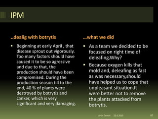 IPM
..dealig with botrytis …what we did
 Beginning at early April , that
disease sprout out vigorously.
Too many factors should have
caused it to be so agressive
and due to that, the
production should have been
compromised. During the
production season till to the
end, 40 % of plants were
destroyed by botrytis and
canker, which is very
significant and very damaging.
 As a team we decided to be
focused on right time of
deleafing.Why?
 Because oxygen kills that
mold and, deleafing as fast
as was necessary,should
have helped us to cope that
unpleasant situation.It
were better not to remove
the plants attacked from
botrytis.
87Artin Demiri 22.6.2015
 