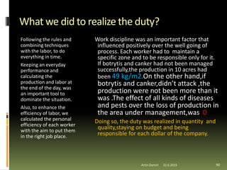 What we did to realize the duty?
Following the rules and
combining techniques
with the labor, to do
everything in time.
Keeping an everyday
performance and
calculating the
production and labor at
the end of the day, was
an important tool to
dominate the situation.
Also, to enhance the
efficiency of labor, we
calculated the personal
efficiency of each worker
with the aim to put them
in the right job place.
Work discipline was an important factor that
influenced positively over the well going of
process. Each worker had to maintain a
specific zone and to be responsible only for it.
If botrytis and canker had not been managed
successfully,the production in 10 acres had
been 49 kg/m2.On the other hand,if
botrytis and canker,didn’t attack ,the
production were not been more than it
was .The effect of all kinds of diseases
and pests over the loss of production in
the area under management,was 0
Doing so, the duty was realized in quantity and
quality,staying on budget and being
responsible for each dollar of the company.
90Artin Demiri 22.6.2015
 
