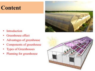 Content
• Introduction
• Greenhouse effect
• Advantages of greenhouse
• Components of greenhouse
• Types of Greenhouses
• Planning for greenhouse
 