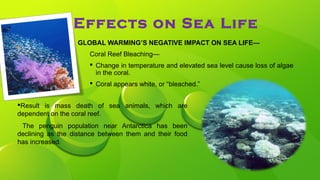 Effects on Sea Life
GLOBAL WARMING’S NEGATIVE IMPACT ON SEA LIFE—
Coral Reef Bleaching—
 Change in temperature and elevated sea level cause loss of algae
in the coral.
 Coral appears white, or “bleached.”
Result is mass death of sea animals, which are
dependent on the coral reef.
The penguin population near Antarctica has been
declining as the distance between them and their food
has increased.
 