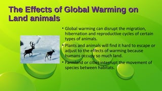 The Effects of Global Warming onThe Effects of Global Warming on
Land animalsLand animals
• Global warming can disrupt the migration,
hibernation and reproductive cycles of certain
types of animals.
• Plants and animals will find it hard to escape or
adjust to the effects of warming because
humans occupy so much land.
• Farmland or cities interrupt the movement of
species between habitats.
 