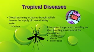 Tropical DiseasesTropical Diseases
• Global Warming increases drought which
lessens the supply of clean drinking
water.
• Cholera • It increases temperature providing an
ideal breeding environment for
mosquitoes.
• Dengue fever
• Malaria
• Yellow fever
 