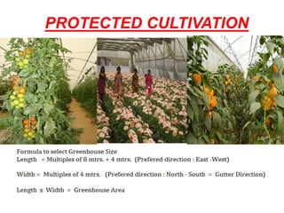 PROTECTED CULTIVATION
 