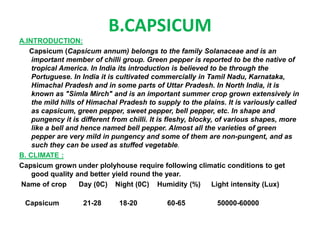 B.CAPSICUM
A.INTRODUCTION:
Capsicum (Capsicum annum) belongs to the family Solanaceae and is an
important member of chilli group. Green pepper is reported to be the native of
tropical America. In India its introduction is believed to be through the
Portuguese. In India it is cultivated commercially in Tamil Nadu, Karnataka,
Himachal Pradesh and in some parts of Uttar Pradesh. In North India, it is
known as "Simla Mirch" and is an important summer crop grown extensively in
the mild hills of Himachal Pradesh to supply to the plains. It is variously called
as capsicum, green pepper, sweet pepper, bell pepper, etc. In shape and
pungency it is different from chilli. It is fleshy, blocky, of various shapes, more
like a bell and hence named bell pepper. Almost all the varieties of green
pepper are very mild in pungency and some of them are non-pungent, and as
such they can be used as stuffed vegetable.
B. CLIMATE :
Capsicum grown under plolyhouse require following climatic conditions to get
good quality and better yield round the year.
Name of crop Day (0C) Night (0C) Humidity (%) Light intensity (Lux)
Capsicum 21-28 18-20 60-65 50000-60000
 