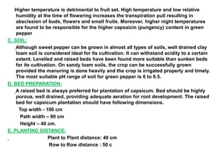 Higher temperature is detrimental to fruit set. High temperature and low relative
humidity at the time of flowering increases the transpiration pull resulting in
abscission of buds, flowers and small fruits. Moreover, higher night temperatures
are found to be responsible for the higher capsaicin (pungency) content in green
pepper
C. SOIL:
Although sweet pepper can be grown in almost all types of soils, well drained clay
loam soil is considered ideal for its cultivation. It can withstand acidity to a certain
extent. Levelled and raised beds have been found more suitable than sunken beds
for its cultivation. On sandy loam soils, the crop can be successfully grown
provided the manuring is done heavily and the crop is irrigated properly and timely.
The most suitable pH range of soil for green pepper is 6 to 6.5.
D. BED PREPARATION:
A raised bed is always preferred for plantation of capsicum. Bed should be highly
porous, well drained, providing adequate aeration for root development. The raised
bed for capsicum plantation should have following dimensions.
Top width - 100 cm
Path width – 90 cm
Height – 40 cm.
E. PLANTING DISTANCE:
Plant to Plant distance: 40 cm
Row to Row distance : 50 c
 