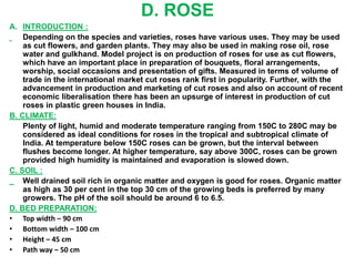 D. ROSE
A. INTRODUCTION :
Depending on the species and varieties, roses have various uses. They may be used
as cut flowers, and garden plants. They may also be used in making rose oil, rose
water and gulkhand. Model project is on production of roses for use as cut flowers,
which have an important place in preparation of bouquets, floral arrangements,
worship, social occasions and presentation of gifts. Measured in terms of volume of
trade in the international market cut roses rank first in popularity. Further, with the
advancement in production and marketing of cut roses and also on account of recent
economic liberalisation there has been an upsurge of interest in production of cut
roses in plastic green houses in India.
B. CLIMATE:
Plenty of light, humid and moderate temperature ranging from 150C to 280C may be
considered as ideal conditions for roses in the tropical and subtropical climate of
India. At temperature below 150C roses can be grown, but the interval between
flushes become longer. At higher temperature, say above 300C, roses can be grown
provided high humidity is maintained and evaporation is slowed down.
C. SOIL :
Well drained soil rich in organic matter and oxygen is good for roses. Organic matter
as high as 30 per cent in the top 30 cm of the growing beds is preferred by many
growers. The pH of the soil should be around 6 to 6.5.
D. BED PREPARATION:
• Top width – 90 cm
• Bottom width – 100 cm
• Height – 45 cm
• Path way – 50 cm
 