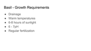 Greenhouses-Hydroponics-Basil | PDF