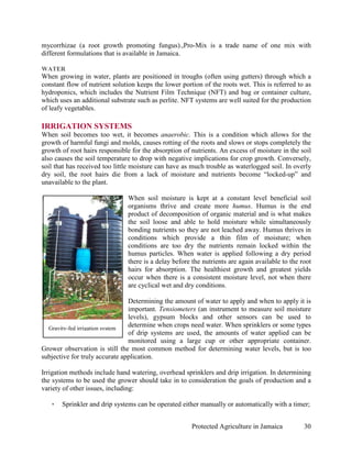 mycorrhizae (a root growth promoting fungus).,Pro-Mix is a trade name of one mix with
different formulations that is available in Jamaica.

WATER
When growing in water, plants are positioned in troughs (often using gutters) through which a
constant flow of nutrient solution keeps the lower portion of the roots wet. This is referred to as
hydroponics, which includes the Nutrient Film Technique (NFT) and bag or container culture,
which uses an additional substrate such as perlite. NFT systems are well suited for the production
of leafy vegetables.

IRRIGATION SYSTEMS
When soil becomes too wet, it becomes anaerobic. This is a condition which allows for the
growth of harmful fungi and molds, causes rotting of the roots and slows or stops completely the
growth of root hairs responsible for the absorption of nutrients. An excess of moisture in the soil
also causes the soil temperature to drop with negative implications for crop growth. Conversely,
soil that has received too little moisture can have as much trouble as waterlogged soil. In overly
dry soil, the root hairs die from a lack of moisture and nutrients become “locked-up” and
unavailable to the plant.

                               When soil moisture is kept at a constant level beneficial soil
                               organisms thrive and create more humus. Humus is the end
                               product of decomposition of organic material and is what makes
                               the soil loose and able to hold moisture while simultaneously
                               bonding nutrients so they are not leached away. Humus thrives in
                               conditions which provide a thin film of moisture; when
                               conditions are too dry the nutrients remain locked within the
                               humus particles. When water is applied following a dry period
                               there is a delay before the nutrients are again available to the root
                               hairs for absorption. The healthiest growth and greatest yields
                               occur when there is a consistent moisture level, not when there
                               are cyclical wet and dry conditions.

                                Determining the amount of water to apply and when to apply it is
                                important. Tensiometers (an instrument to measure soil moisture
                                levels), gypsum blocks and other sensors can be used to
  Gravity-fed irrigation system
                                determine when crops need water. When sprinklers or some types
                                of drip systems are used, the amounts of water applied can be
                                monitored using a large cup or other appropriate container.
Grower observation is still the most common method for determining water levels, but is too
subjective for truly accurate application.

Irrigation methods include hand watering, overhead sprinklers and drip irrigation. In determining
the systems to be used the grower should take in to consideration the goals of production and a
variety of other issues, including:

   •   Sprinkler and drip systems can be operated either manually or automatically with a timer;


                                                       Protected Agriculture in Jamaica          30
 