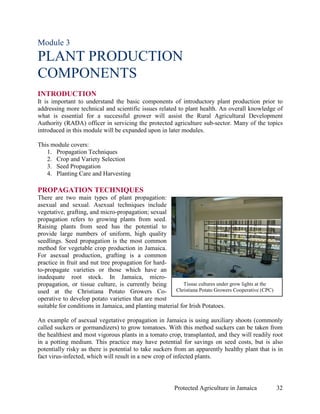 Module 3
PLANT PRODUCTION
COMPONENTS
INTRODUCTION
It is important to understand the basic components of introductory plant production prior to
addressing more technical and scientific issues related to plant health. An overall knowledge of
what is essential for a successful grower will assist the Rural Agricultural Development
Authority (RADA) officer in servicing the protected agriculture sub-sector. Many of the topics
introduced in this module will be expanded upon in later modules.

This module covers:
   1. Propagation Techniques
   2. Crop and Variety Selection
   3. Seed Propagation
   4. Planting Care and Harvesting

PROPAGATION TECHNIQUES
There are two main types of plant propagation:
asexual and sexual. Asexual techniques include
vegetative, grafting, and micro-propagation; sexual
propagation refers to growing plants from seed.
Raising plants from seed has the potential to
provide large numbers of uniform, high quality
seedlings. Seed propagation is the most common
method for vegetable crop production in Jamaica.
For asexual production, grafting is a common
practice in fruit and nut tree propagation for hard-
to-propagate varieties or those which have an
inadequate root stock. In Jamaica, micro-
propagation, or tissue culture, is currently being         Tissue cultures under grow lights at the
used at the Christiana Potato Growers Co-               Christiana Potato Growers Cooperative (CPC)
operative to develop potato varieties that are most
suitable for conditions in Jamaica, and planting material for Irish Potatoes.

An example of asexual vegetative propagation in Jamaica is using auxiliary shoots (commonly
called suckers or gormandizers) to grow tomatoes. With this method suckers can be taken from
the healthiest and most vigorous plants in a tomato crop, transplanted, and they will readily root
in a potting medium. This practice may have potential for savings on seed costs, but is also
potentially risky as there is potential to take suckers from an apparently healthy plant that is in
fact virus-infected, which will result in a new crop of infected plants.




                                                         Protected Agriculture in Jamaica             32
 