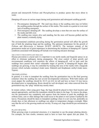present and interactwith Pythium and Phytophophona to produce spores that move about in
water.

Damping-off occurs at various stages during seed germination and subsequent seedling growth:

   1. Pre-emergence damping-off: The seed may decay or the seedling stem may rot before
      the seedling pushes through the surface of the media. This results in a partial or even total
      lack of seedling emergence.
   2. Post-emergence damping-off: The seedling develops a stem that rots near the surface of
      the media and falls over.
   3. The seedling may remain alive and standing, but the stem will become girdled and the
      plant stunted, eventually dying.

The environmental conditions prevailing during the germination period will affect the growth
rate of both the attacking fungi and the seedling. The optimum temperature for the growth of
Pythium and Rhizoctonia is between 20-30°C (68-86°F). The moisture content of the
germination media are of great importance in determining the incidence of damping-off. Typical
conditions associated with damping-off include over-watering and poor drainage.

TREATMENT FOR DAMPING-OFF DISEASES
Disease prevention is crucial and it is important to use sterile media and fungicide sprays in an
effort to eliminate pathogens during propagation. The close control of plant growth and
environmental conditions will minimize the effects of damping-off, will at least until the
seedlings have passed their initial vulnerable stages of growth. If damping-off begins after
seedlings are growing, it may be controlled by treating that area of the media with a fungicide
mixture which includes metalaxyl (trade name: Ridomil) and thiophanate methyl (trade name:
Topsin).

TRANSPLANTING
In general, it is time to transplant the seedling from the germination tray to the final growing
container when the seedling has met several developmental milestones. With both tomato and
sweet pepper the seedlings should be 10-15 cm (4-6 in) tall and have at least 3-4 true leaves
developed prior to transplanting. Roots should be well developed, and, when removed from the
germination tray, the “plug” should stay mostly intact.

In tomato culture, when using grow bags, the bags should be placed in their final location and
spaced appropriately, and then the transplants should be taken to the bags. To remove the plugs,
wet the germination tray completely and squeeze from the bottom to push the seedlings out
without nicks, cuts or other damage that could occur to the plant or root system if pulled by the
leaves. Precautions should be taken to transplant seedlings when it is not very hot, preferably on
cloudy days or late afternoon so seedlings can adjust to temperature changes overnight. Make
sure that the soil or the growing media are not dry. If using coir, bags should be pre-moistened as
well.

PLANT SPACING
When growing crops in protected structures, it is important to use the proper planting density.
For example, for best results, tomatoes need to have at least four square feet per plant. To

                                                       Protected Agriculture in Jamaica         35
 