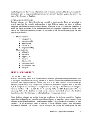 metabolic processes that require different amounts of mineral nutrients, Therefore, recommended
fertilisation rates to meet mineral requirements vary not only by plant species, but also by the
stage of development of the plant.

MINERAL REQUIREMENTS
Thirteen minerals have been identified as essential to plant growth. These are classified in
several ways but the essential understanding is that different species use them in different
quantities, and that these requirements are further influenced by the environmental conditions in
which the plants are grown. Some studies have suggested that other minerals may impact plant
growth, but these have not been validated at the grower level. The nutrients required for plant
growth are as follows:

   •   Macro-nutrients:
          • nitrogen (N)
          • phosphorus (P)
          • potassium (K)
          • calcium (Ca)
          • magnesium (Mg)
   •   Micro-nutrients:
          • sulfur (S)
          • boron (B)
          • copper (Cu)
          • iron (Fe)
          • chlorine (Cl)
          • manganese (Mn)
          • molybdenum (Mo)
          • zinc (Zn)

FERTILISER SOURCES
CHEMICAL FERTILISER
Minerals are used by plants in different quantities; nitrogen, phosphorus and potassium are used
in the largest amounts and are usually referred to as primary, macro-nutrients or macro-elements.
The most often applied fertilisers contain one, two, or all three of these macro-elements (in
different proportions) in their composition. The label on the fertiliser bag lists them in the order
N, P, K along with the percentages of each present in the makeup of the fertiliser. For example, a
fertiliser listed as 10-5-15 is 10% N, 5% P (actually P2O5) and 15% K (actually K2O). The
remaining 70% of the fertiliser is inert carrier material. Controlled release solid fertiliser
formulations allow for the release of soluble fertilisers over a period of time.

Other fertiliser minerals are applied in certain conditions, but in lesser quantities. Calcium,
magnesium, and sulphur are part of a group of them known as secondary macro-elements. Some
minerals are used by plants in very small amounts and are referred to as micro-nutrients or trace
elements. The micro-nutrients group is made up of boron, chlorine, copper, iron, manganese,
molybdenum and zinc. The elements carbon, hydrogen, and oxygen are also required for plant


                                                       Protected Agriculture in Jamaica          39
 