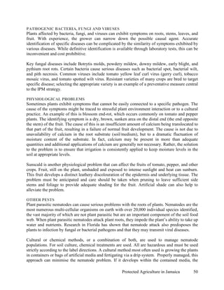 PATHOGENIC BACTERIA, FUNGI AND VIRUSES
Plants affected by bacteria, fungi, and viruses can exhibit symptoms on roots, stems, leaves, and
fruit. With experience, the grower can narrow down the possible causal agent. Accurate
identification of specific diseases can be complicated by the similarity of symptoms exhibited by
various diseases. While definitive identification is available through laboratory tests, this can be
inconvenient and cost prohibitive.

Key fungal diseases include Botrytis molds, powdery mildew, downy mildew, early blight, and
pythium root rots. Certain bacteria cause serious diseases such as bacterial spot, bacterial wilt,
and pith necrosis. Common viruses include tomato yellow leaf curl virus (gerry curl), tobacco
mosaic virus, and tomato spotted wilt virus. Resistant varieties of many crops are bred to target
specific disease; selecting the appropriate variety is an example of a preventative measure central
to the IPM strategy.

PHYSIOLOGICAL PROBLEMS
Sometimes plants exhibit symptoms that cannot be easily connected to a specific pathogen. The
cause of the symptoms might be traced to stressful plant environment interaction or to a cultural
practice. An example of this is blossom end-rot, which occurs commonly on tomato and pepper
plants. The identifying symptom is a dry, brown, sunken area on the distal end (the end opposite
the stem) of the fruit. The cause of this is an insufficient amount of calcium being translocated to
that part of the fruit, resulting in a failure of normal fruit development. The cause is not due to
unavailability of calcium in the root substrate (soil/medium), but to a dramatic fluctuation of
moisture content of the substrate. In fact, calcium may be present in more than adequate
quantities and additional applications of calcium are generally not necessary. Rather, the solution
to the problem is to ensure that irrigation is consistently applied to keep moisture levels in the
soil at appropriate levels.

Sunscald is another physiological problem that can affect the fruits of tomato, pepper, and other
crops. Fruit, still on the plant, unshaded and exposed to intense sunlight and heat can sunburn.
This fruit develops a distinct leathery discolouration of the epidermis and underlying tissue. The
problem must be anticipated and care should be taken when pruning to leave sufficient side
stems and foliage to provide adequate shading for the fruit. Artificial shade can also help to
alleviate the problem.

OTHER PESTS
Plant parasitic nematodes can cause serious problems with the roots of plants. Nematodes are the
most numerous multi-cellular organisms on earth with over 20,000 individual species identified,
the vast majority of which are not plant parasitic but are an important component of the soil food
web. When plant parasitic nematodes attack plant roots, they impede the plant’s ability to take up
water and nutrients. Research in Florida has shown that nematode attack also predisposes the
plants to infection by fungal or bacterial pathogens and that they may transmit viral diseases.

Cultural or chemical methods, or a combination of both, are used to manage nematode
populations. For soil culture, chemical treatments are used. All are hazardous and must be used
strictly according to the label directions. A cultural method most often used is growing the plants
in containers or bags of artificial media and fertigating via a drip system. Properly managed, this
approach can minimise the nematode problem. If it develops within the contained media, the

                                                       Protected Agriculture in Jamaica          50
 