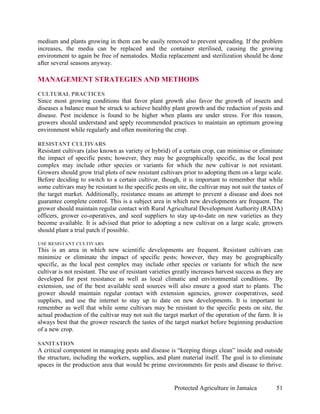 medium and plants growing in them can be easily removed to prevent spreading. If the problem
increases, the media can be replaced and the container sterilised, causing the growing
environment to again be free of nematodes. Media replacement and sterilization should be done
after several seasons anyway.

MANAGEMENT STRATEGIES AND METHODS
CULTURAL PRACTICES
Since most growing conditions that favor plant growth also favor the growth of insects and
diseases a balance must be struck to achieve healthy plant growth and the reduction of pests and
disease. Pest incidence is found to be higher when plants are under stress. For this reason,
growers should understand and apply recommended practices to maintain an optimum growing
environment while regularly and often monitoring the crop.

RESISTANT CULTIVARS
Resistant cultivars (also known as variety or hybrid) of a certain crop, can minimise or eliminate
the impact of specific pests; however, they may be geographically specific, as the local pest
complex may include other species or variants for which the new cultivar is not resistant.
Growers should grow trial plots of new resistant cultivars prior to adopting them on a large scale.
Before deciding to switch to a certain cultivar, though, it is important to remember that while
some cultivars may be resistant to the specific pests on site, the cultivar may not suit the tastes of
the target market. Additionally, resistance means an attempt to prevent a disease and does not
guarantee complete control. This is a subject area in which new developments are frequent. The
grower should maintain regular contact with Rural Agricultural Development Authority (RADA)
officers, grower co-operatives, and seed suppliers to stay up-to-date on new varieties as they
become available. It is advised that prior to adopting a new cultivar on a large scale, growers
should plant a trial patch if possible.

USE RESISTANT CULTIVARS
This is an area in which new scientific developments are frequent. Resistant cultivars can
minimize or eliminate the impact of specific pests; however, they may be geographically
specific, as the local pest complex may include other species or variants for which the new
cultivar is not resistant. The use of resistant varieties greatly increases harvest success as they are
developed for pest resistance as well as local climatic and environmental conditions. By
extension, use of the best available seed sources will also ensure a good start to plants. The
grower should maintain regular contact with extension agencies, grower cooperatives, seed
suppliers, and use the internet to stay up to date on new developments. It is important to
remember as well that while some cultivars may be resistant to the specific pests on site, the
actual production of the cultivar may not suit the target market of the operation of the farm. It is
always best that the grower research the tastes of the target market before beginning production
of a new crop.

SANITATION
A critical component in managing pests and disease is “keeping things clean” inside and outside
the structure, including the workers, supplies, and plant material itself. The goal is to eliminate
spaces in the production area that would be prime environments for pests and disease to thrive.


                                                         Protected Agriculture in Jamaica           51
 
