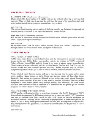 BACTERIAL DISEASES
BACTERIAL WILT (Pseudomonas solanacearum)
Plants affected by these bacteria will rapidly wilt and die without yellowing or showing leaf
necrosis. When a wilted plant is cut near the soil line, the inside of the stem looks dark and
water-soaked, though, these symptoms are not always easy to detect.

KEY SYMPTOM
The grower should examine a cross-section of the lower stem for sap that could be squeezed out
were the stem to be pressed. In late stages, the stem may become hollow.

PITH NECROSIS (Pseudomonas corrugata)
Pith Necrosis is sometimes referred to as bacterial hollow stem. Affected plants often wilt and
show a slight yellowing of lower foliage.

KEY SYMPTOM
On the lower stems, look for brown, sunken, necrotic (dead) stem cankers. Length-wise cuts
through cankers will reveal hollow stems, a symptom of the disease.

VIRUS DISEASES
TOMATO MOSAIC VIRUS (ToMV)
ToMV was a major threat to protected cultivation until the introduction of resistant varieties of
tomato in the early 1980s. Today, most modern varieties are resistant to ToMV, a strain of
Tobacco Mosaic Virus (TMV), and this disease is no longer a serious menace to production.
Those growers who use vulnerable varieties need to become familiar with ToMV in case the
disease attacks and plant removal becomes necessary. ToMV diagnosis may be difficult;
symptoms depend on variety, age of plant at time of infection, and environmental conditions.

When infected, plants become stunted and leaves may develop mild to severe yellow-green
spots, crinkles, ridges, strings, or curls. Stems may develop streaks of dead plant tissue.
Generally, fruit shows no symptoms, although severe strains may cause internal browning,
pitting, or severe mottling. With such a wide array of possible symptoms, there are no key
symptoms to scout. ToMV spreads easily through pruning, fruit harvesting, and other routine
activities, and when the disease is suspected, it is imperative that the grower get an accurate
diagnosis and remove diseased plants promptly.

TOMATO SPOTTED WILT VIRUS (TSWV)
TSWV can be a widespread problem in greenhouse tomatoes. Like ToMV, diagnosis of TSWV
in greenhouse tomatoes can be difficult as symptoms can be many and varied. TSWV symptoms
can also be confused with those caused by other viral, fungal or bacterial pathogens, or
nutritional disorders. Scouting for and controlling thrips populations is important to prevent the
spread of TSWV. Many weedy plants can harbour the virus, thus it is important to keep a weed-
free perimeter around the greenhouse. Test kits are available to check for the presence of TSWV
in tomatoes.

KEY SYMPTOM


                                                      Protected Agriculture in Jamaica         65
 