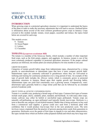 MODULE 9
CROP CULTURE
INTRODUCTION
When growing crops in a protected agriculture structure it is important to understand the basics
of the plant in order to make the necessary adjustments that will lead to success. Outlined below
is information about several of the most common greenhouse-grown crops in Jamaica. Crops
covered in this module include: tomato, sweet pepper, cucumber and lettuce; the topics listed
below are covered for each crop.

This module covers:
   9. Tomato
   10. Sweet Pepper
   11. Lettuce
   12. Cucumber

TOMATO (Lycoperson esculentum Mill)
The tomato is a member of the Solanceae family, which includes a number of other important
food crops, such as the Irish potato, peppers, and eggplants. In Jamaica, tomato is one of the
most commonly produced vegetables in protected agriculture structures. If the proper cultural
practices are followed, one tomato plant can remain productive for nine months to one year.

GROWTH HABITS
Categories of tomato growth habits range from indeterminate types, characterized by a vining
growth, to semi-determinate or determinate types that have a more compact growth habit.
Indeterminate types are commonly cultivated in greenhouses where they are well-suited to
trellising and training for continuous production over a long period of time. An example of this
type of growth habit includes the Alboran variety which is commonly grown in protected
agriculture structures in Jamaica. Based upon their regular growth and flowering habits,
indeterminate types can yield fruit consistently over a growing season. Comparatively, semi-
determinate types generally build to a large initial yield that can be followed by an extended
period of moderate yield.

FRUIT TYPES & GENETIC CONSIDERATIONS
Tomato is a variable crop, producing a broad range of fruit types. Common fruit types of tomato
include small grape, cherry, saladette, plum, standard, and beefsteak. As with many other crops,
tomato cultivars may either be hybrid or non-hybrid (open pollinated). Tomato crops are
naturally self-pollinating; an open pollinated seed typically breeds true-to-type. Heirloom is a
term to describe one category of non-hybrid tomatoes. Rather than it being necessary to buy seed
from a commercial seed supplier, a grower could save seed from a heirloom plant with
confidence that it would produce true-to-type fruit in the next production cycle. The term
heirloom tomato originated from the practice of growers passing down seeds from generation to
generation. Heirlooms cover the gamut of fruit types in regards to size and other characteristics;
the types include those which are hollow (often prepared stuffed) and which may have large non-


                                                      Protected Agriculture in Jamaica         83
 