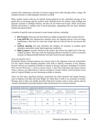 uniform fruit comprising a diversity of colours ranging from white through yellow, orange, the
standard red and to a deep burgundy referred to as black

Many modern tomato cultivars are hybrids, being produced by the controlled crossing of two
parent lines to encourage specific, positive traits. Hybrids tend to be uniform, high yielding, and
typically resistant to multiple diseases, but they do not breed true-to-type. Seeds saved from
hybrids will produce a variable crop of mixed genotypes, segregating from the many attributes
found in the parent hybrid.

A number of specific traits are present in some tomato cultivars, including:

    • Hot-set genes: these prevent fruit abortion at higher temperatures than normal cultivars;
    • Long shelf life: this characteristic naturally slows the ripening process at the red stage,
      maintaining a firm fruit for some time longer than for cultivars that do not possess this
      trait;
    • Uniform ripening: this trait eliminates the tendency for tomatoes to produce green
      shoulders, particularly under high temperature conditions;
    • High Lycopene: recently released on the market, this cultivar has high levels of the anti-
      oxidant lycopene. This may mark the beginning efforts by breeders to cater to consumer
      interests in enhanced health benefits from their fresh fruit and vegetables.

DISEASE RESISTANCE
Genetically disease resistant tomatoes are of great value to the reduction in the use of pesticides.
For this reason tomato breeding programs work hard to identify resistance to key diseases.
Several cultivars are manifestly resistant or tolerant to diseases and pests, including Verticillium
Wilt, Fusarim Wilt races 1, 2 and, to a lesser extent, 3, Root Knot Nematodes and viruses such as
Tobacco Mosaic (see table below). Cultivars resistant to Tomato Yellow Leaf Curl (Gerry Curl),
such as Tropical Delight, are now becoming available in Jamaica.

There are still many significant diseases, particularly the foliar bacterial and fungal diseases,
such as Septoria Leaf Spot and Early Blight, for which there is little or no resistance in tomato.
Diseases such as these can rapidly devastate field grown tomato crops in rainy seasons and are
virtually eliminated by growing tomatoes under the protection of a covered structure.

 COMMON TOMATO VARIETIES GROWN IN JAMAICA
                             FRUIT
                                   GREEN-     VIRUS          FUNGI           NEMATODE
VARIETY         SOURCE        SIZE                                                       COMMENTS
                                    BACK    RESISTANT      RESISTANT         RESISTANT
                            (GRAM)
Cocktail Type

 Picolino       De Ruiter                      No               No              No

 Flavorino      De Ruiter                      No               No              No

Standard Type
                                                        CF:-, Fol:0,1,For,
  Alboran    Rijk Zwaan     140-160   Yes     ToMV                              No
                                                             Sbl, Va



                                                        Protected Agriculture in Jamaica         84
 